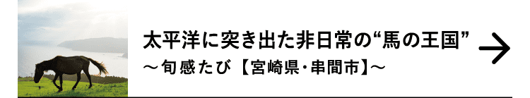 太平洋に突き出た非日常の“馬の王国”｜～旬感たび 【宮崎県・串間市】～