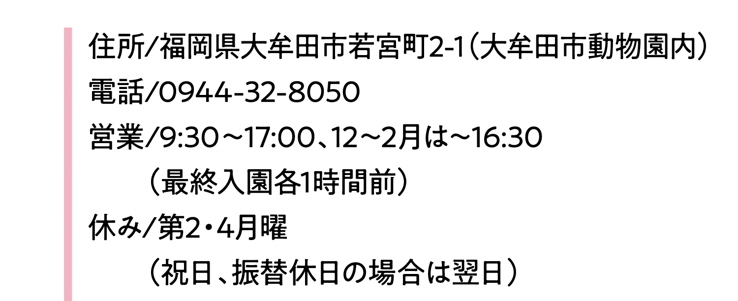 住所/福岡県大牟田市若宮町2-1（大牟田市動物園内）｜電話/0944-32-8050｜営業/9:30～17:00、12～2月は～16:30（最終入園各1時間前）｜休み/第2・4月曜（祝日、振替休日の場合は翌日）