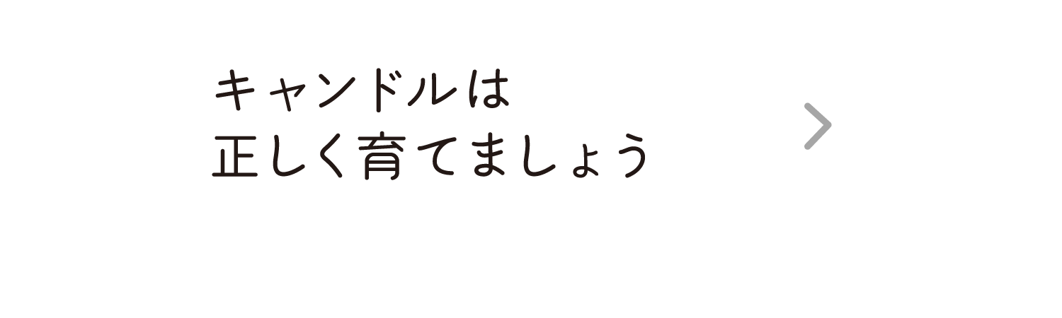 キャンドルは正しく育てましょう