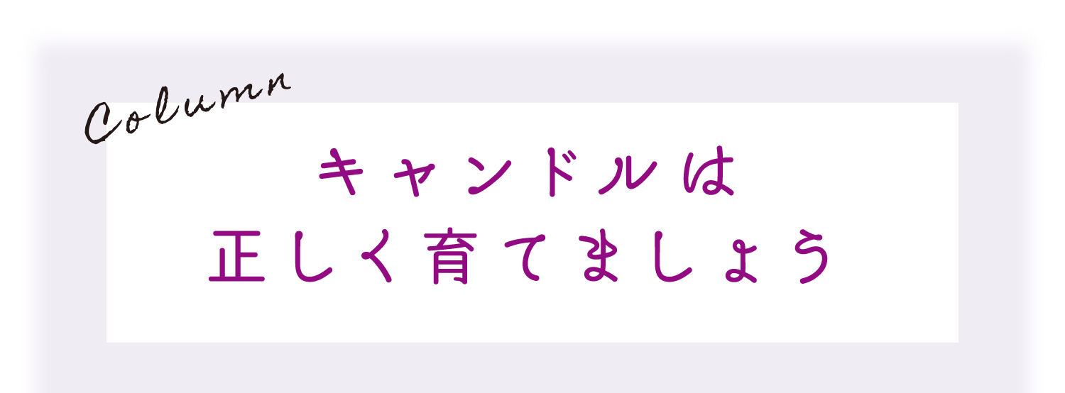 Column｜キャンドルは正しく育てましょう