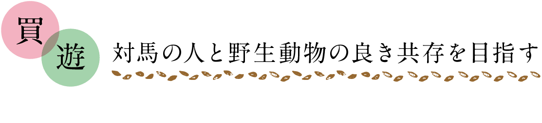 買｜遊｜対馬の人と野生動物の良き共存を目指す