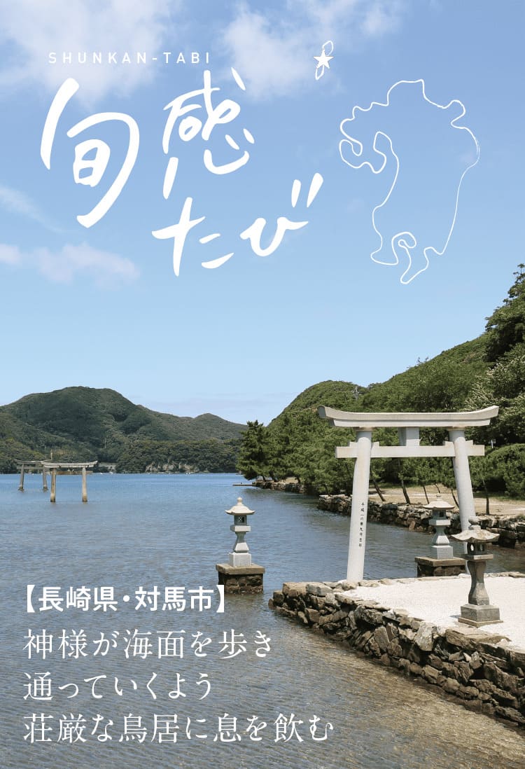 旬感たび｜SYUNKAN-TABI ｜【長崎県・対馬市】｜神様が海面を歩き通っていくよう荘厳な鳥居に息を飲む