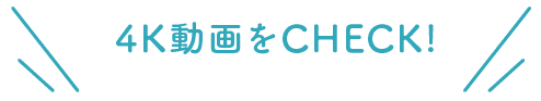 4K動画をCHECK!