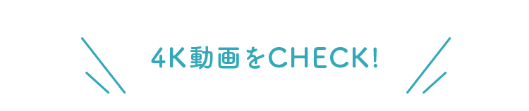 4K動画をCHECK!